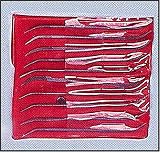 10 Piece Riffler File Set