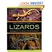 Lizards: Windows to the Evolution of Diversity (Organisms and Environments)
