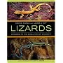 Lizards: Windows to the Evolution of Diversity (Organisms and Environments)