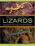 Lizards: Windows to the Evolution of Diversity (Organisms and Environments)