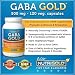 GABA GOLD with Vitamin B6 - 500 mg (120 veggie capsules)