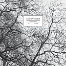 Juli November (2-Track)