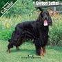 Gordon Setter 2007 Wall Calendar