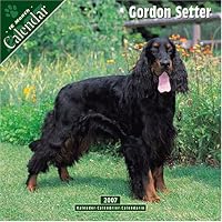 Gordon Setter 2007 Wall Calendar