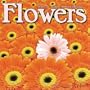 FLOWERS 2010 Wall Calendar #30247-10