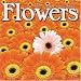 FLOWERS 2010 Wall Calendar #30247-10