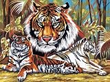  : Paint By Number - Tigers