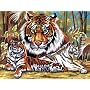 Reeves - Paint By Numbers - The Tiger