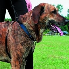 Geh-bei-Fu�-Trainer m.Achselschonern,Gr.1,Halsw.:22-30 cm