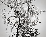 James Welling Photographs: 1973-1999