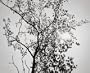 James Welling Photographs: 1973-1999