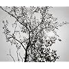 James Welling Photographs: 1973-1999