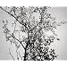 James Welling Photographs: 1973-1999