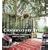 Conservatory Style: Garden Rooms, Glasshouses, and Sunrooms