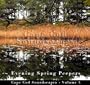 Cape Cod Soundscapes, Vol. 4: Evening Spring Peepers