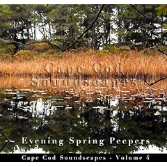 Cape Cod Soundscapes, Vol. 4: Evening Spring Peepers