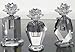 Lotus Perfume Bottles Image