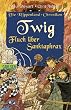 Die Klippenland-Chroniken, Band 4: Twig - Fluch �ber Sanktaphrax: Die Klippenland-Chroniken 4