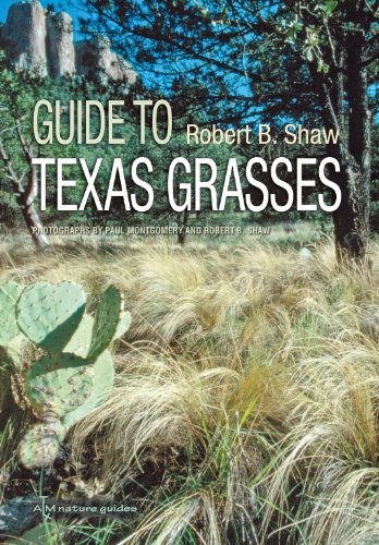 Guide to Texas Grasses (AgriLife Research and Extension Service Series)