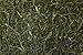 Ocha & Co. Premium Organic Japanese Sencha Loose Leaf Green Tea 100g 3.5oz.