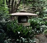 Japanese Chaniwa (Tea) Gardens