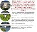 Book The Special Make An Extra Income, Inner Game and Godfather Principles for Metric Fasteners Web Businesses 3 CD Power Pack