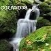 Ceilidh Celtic Music with Gentle River Stream for Spa Relaxation and Spa Meditation. Healing Waters