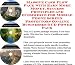 Massive Cash Flow Pack with Earn More Money, Success Principles and eCommerce for Mobile Phone Screen Protectors On-line Businesses 3 CD Power Pack