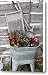 Old Fashion Elements with Flowers Canvas Print / Canvas Art - Artist Linda Phelps
