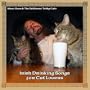 Irish Drinking Songs for Cat Lovers