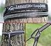 Lamoo Hammock Straps - Super Long 10 ft & 40 Loops & 100% No Stretch Suspension System Kit. Set of 2