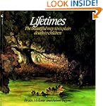 Lifetimes: The Beautiful Way to Expla...