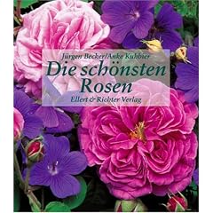 Die sch�nsten Rosen