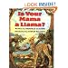 Is Your Mama a Llama?