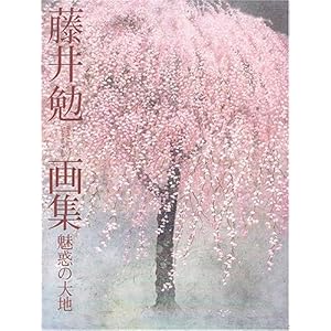 ���� �׉�W ���f�̑�n