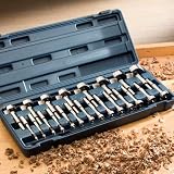22-Piece Forstner Bit Set (Misc.)