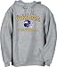 Reebok Minnesota Vikings Adult NFL Stacked Helmet Hooded Sweatshirt (XL=48)