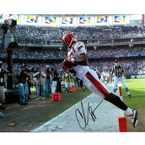 Mounted Memories Cincinnati Bengals Chad Johnson Autographed 8x10 Photo