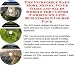 The Incredible Earn More Money, Inner Game and Sales Models for Custom T-shirts On-line Businesses 3 Course Pack