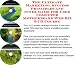 The Ultimate Marketing, Success Principles and Inner Game for Used Computer Motherboard Web Biz 3 CD Course