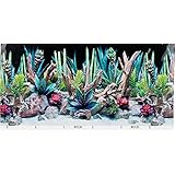 SeaView Double-Sided Desert Dream & Deep Flora Terrarium Background, 36" L X 18" H