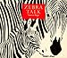 Zebra Talk (Animal Talk (Child's Play))
