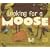 Looking for a Moose