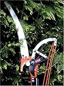 2.6 Metre Telescopic Ratchet By Pass Tree Pruner Lopper With 30cm Saw "colours may vary"