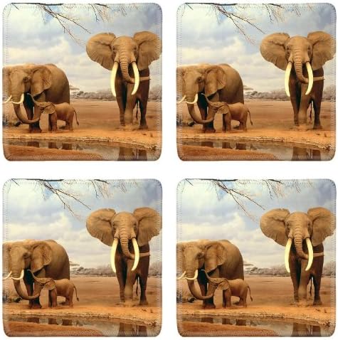 Animal Wildlife Elephant Africa Grassland Tusk Nature Square Coaster (4 Piece) Set Fabric Rubber 5 Inch Size Luxlady Coaster Cup Mug Can Water Bottle Drink Coasters Stain Resistance Collector Kit Kitchen Table Top Desk