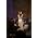 Miniaturansicht von Sarah Brightman
