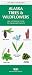 Book Alaska Trees & Wildflowers: An Introduction to Familiar Species (Pocket Naturalist)