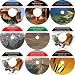 The Inventive 9 Audio CD No Money Down, Millionaire Making Real Estate Mastery Program