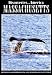Search : Discoveries...America, Massachusetts