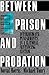Between Prison and Probation: Intermediate Punishments in a Rational Sentencing System